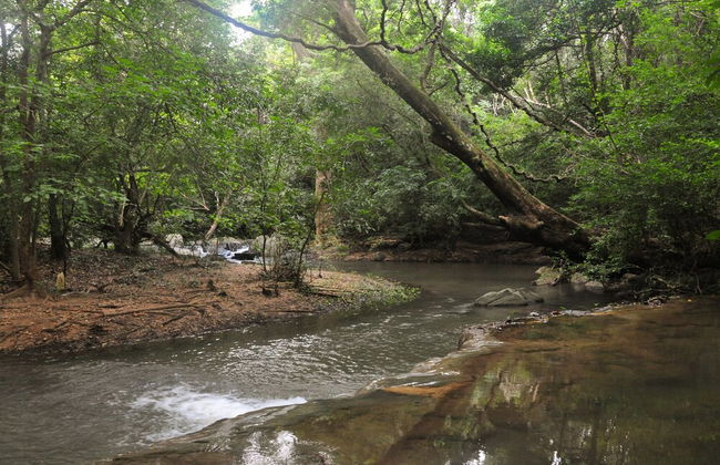 Back of Beyond - Dehigaha Ela - Foto 37
