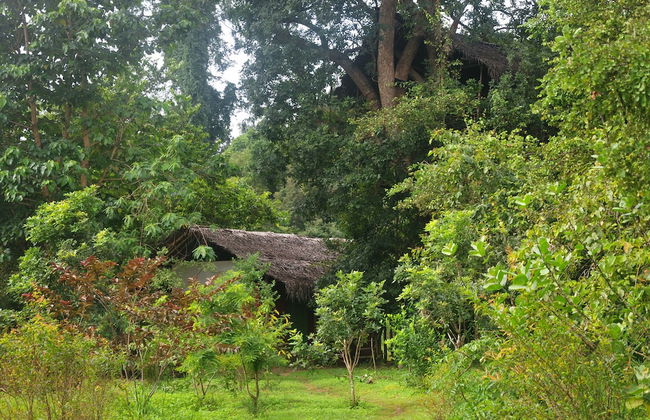 Back of Beyond - Dehigaha Ela - Foto 17