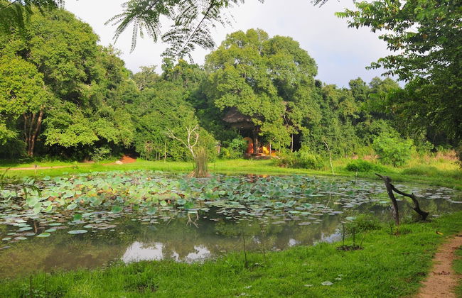 Back of Beyond - Dehigaha Ela - Foto 36