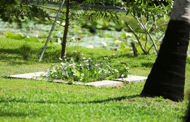 Villa Acres Green - Foto 21