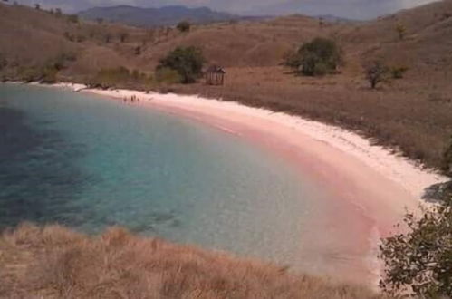 Foto 29 - Komodo Boat Trip