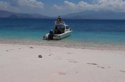 Photo 23 - Komodo Boat Trip