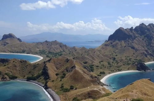 Photo 1 - Komodo Boat Trip