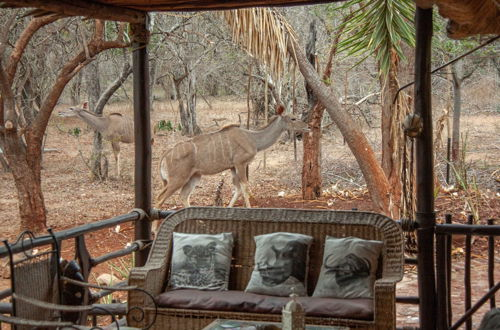 Foto 39 - Lovely Holiday Home Bordering Kruger National Park