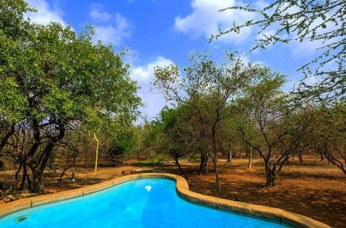 Photo 29 - Lovely Holiday Home Bordering Kruger National Park