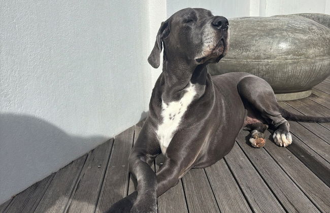 A Riverbed Guesthouse - Foto 65