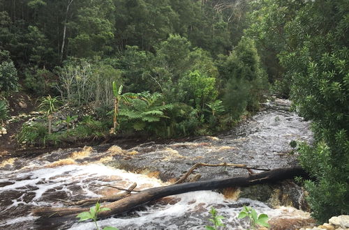 Photo 42 - A Riverbed Guesthouse