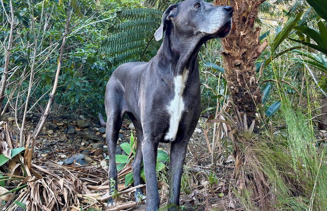 A Riverbed Guesthouse - Foto 64