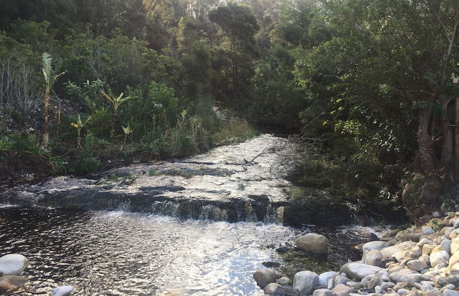 A Riverbed Guesthouse - Foto 64