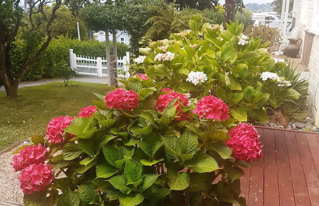 Harbour View Cottage Boutique B&b - Foto 45