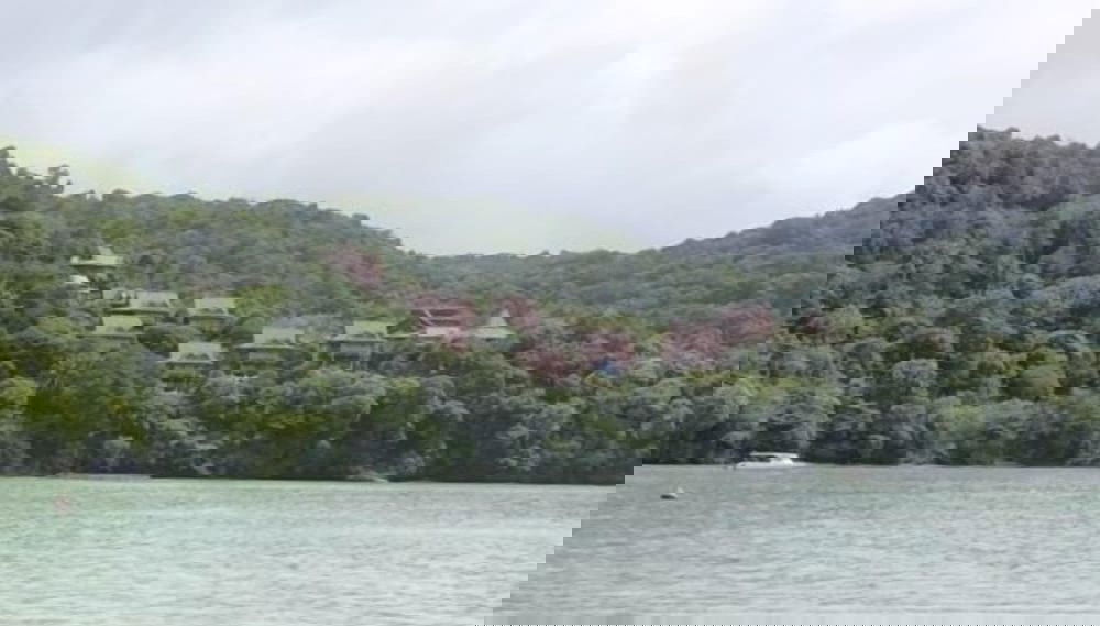 Imagem principal