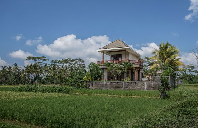 Alosta Luxury Private Villa - Foto 29
