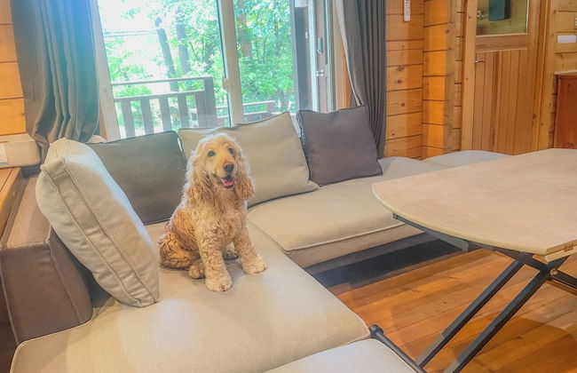 HAL Cottage - Photo 31