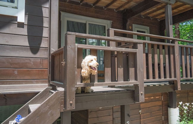HAL Cottage - Photo 29