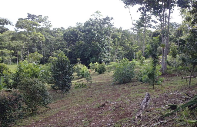 Hotel Finca L’Étoile Celeste - Foto 43