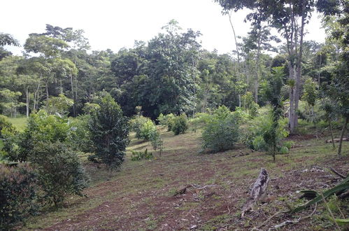 Foto 43 - Hotel Finca L’Étoile Celeste