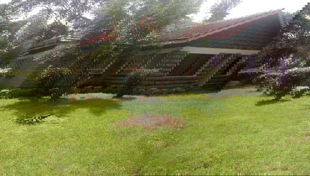 Imagem principal