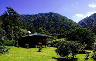Foto 1 - Lemon House Monteverde