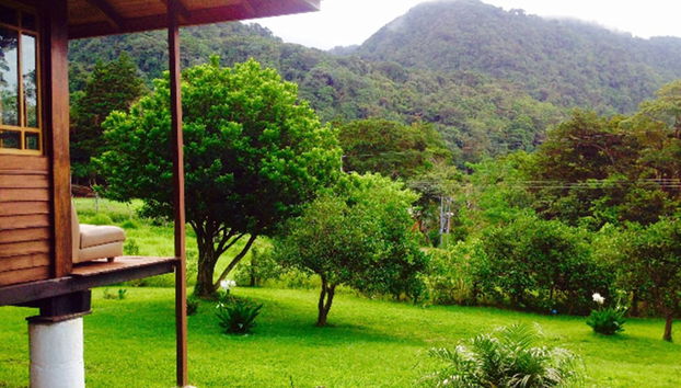 Terraço/pátio interior