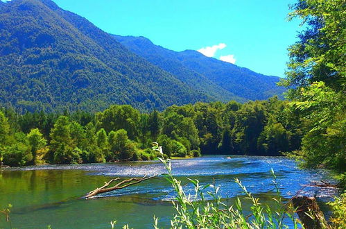 Photo 33 - Cabana En La Pradera Lindo Paisaje En Pucon