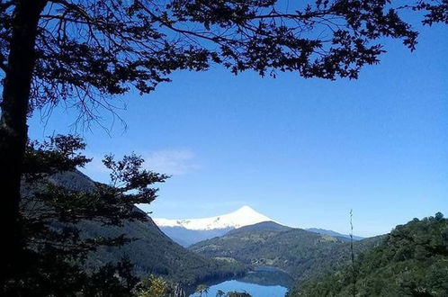 Photo 18 - Cabana En La Pradera Lindo Paisaje En Pucon