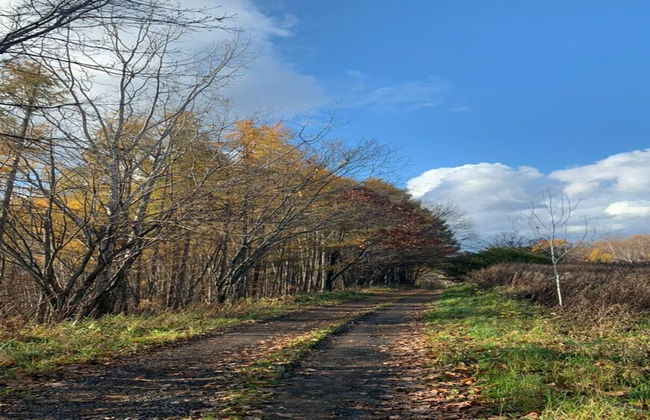 MAPLE FARM - Foto 31