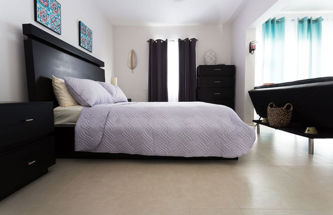 Kingston Luxury Guest Apt at Sullivan - Photo 4