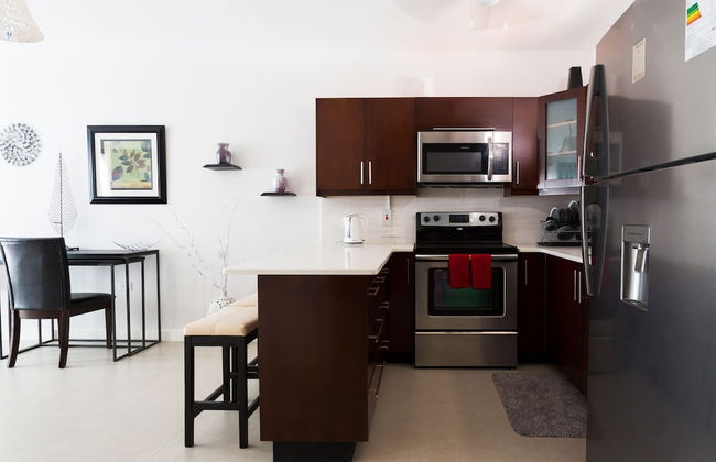 Kingston Luxury Guest Apt at Sullivan - Photo 10