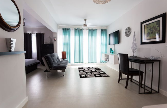 Kingston Luxury Guest Apt at Sullivan - Photo 5