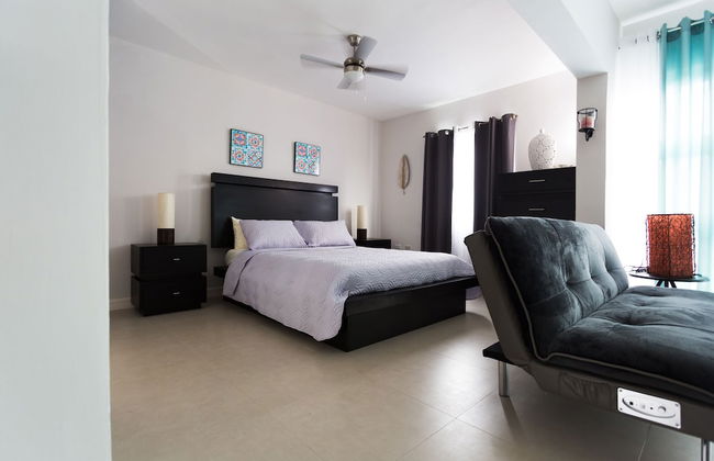 Kingston Luxury Guest Apt at Sullivan - Photo 18