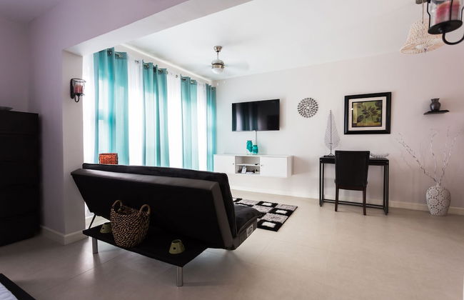 Kingston Luxury Guest Apt at Sullivan - Photo 12