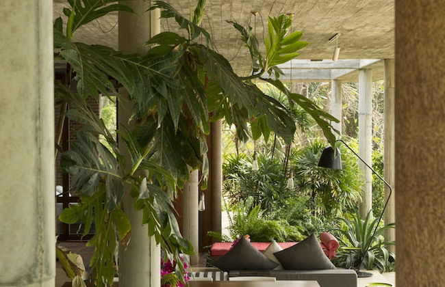 Walatta House - Foto 50