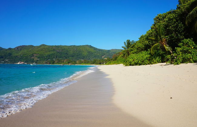 La Villa Therese - Foto 73