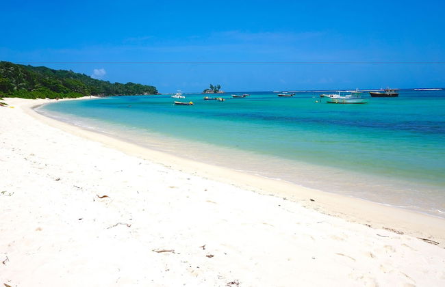 La Villa Therese - Foto 1