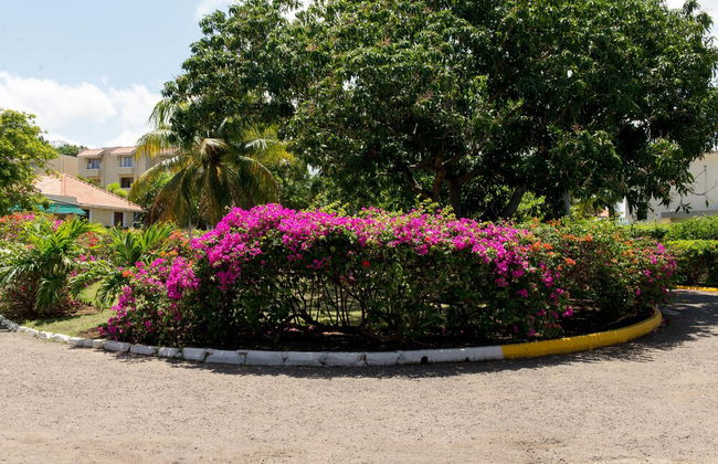 Moonlight Beach Studio At Montego Bay Club Resort - Foto 27