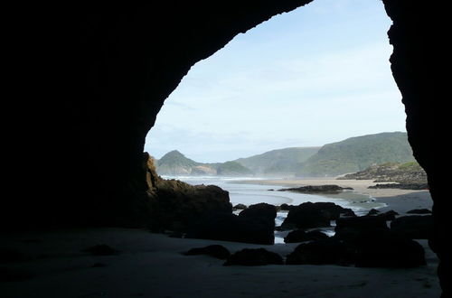 Photo 26 - Bethells Beach Cottages