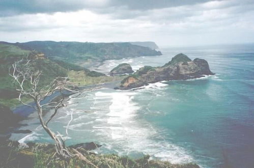 Photo 54 - Bethells Beach Cottages