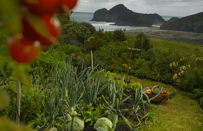 Bethells Beach Cottages - Foto 28