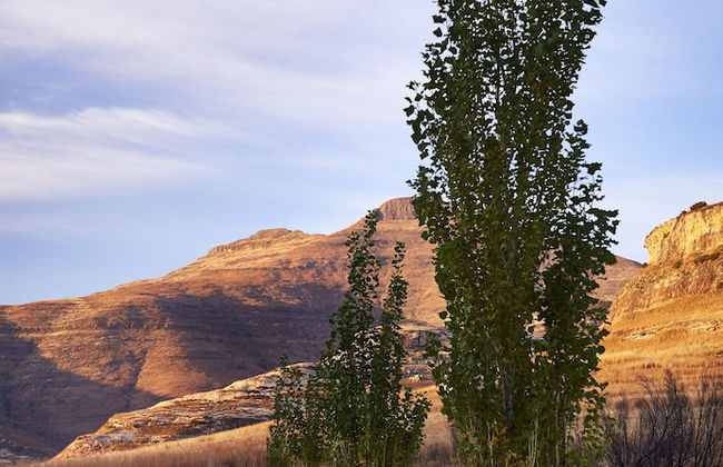 Dynasty Red Mountain Ranch - Foto 32