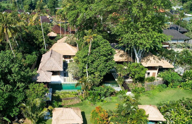Tamu Seseh - Foto 24