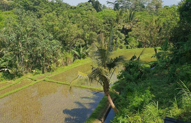 Villa Hati Indah - Foto 68