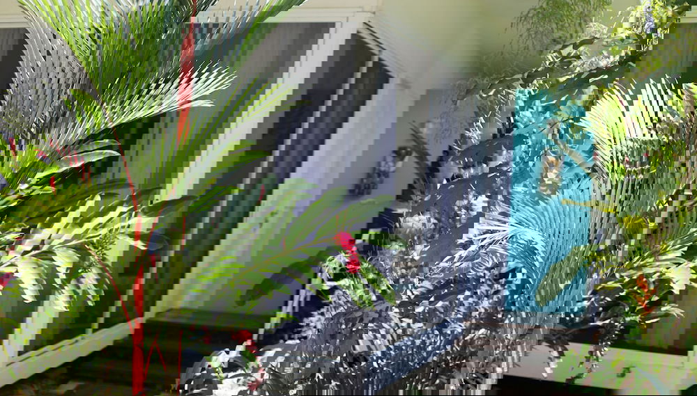 Imagem principal