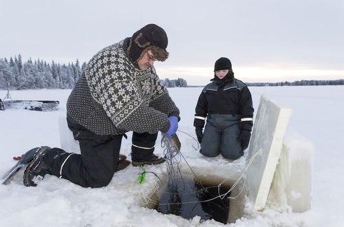 Photo 28 - Ranua Resort Arctic Igloos