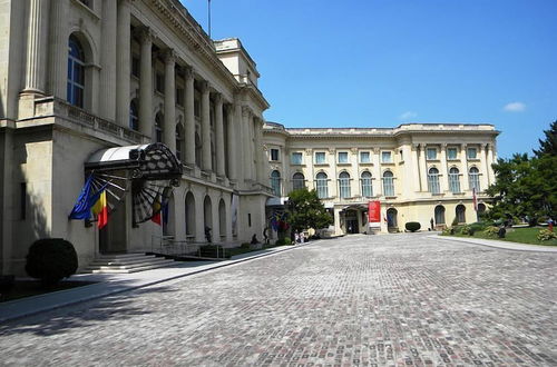 Photo 59 - Central Park Bucharest