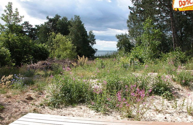 4 Person Holiday Home in Aakirkeby - Photo 13
