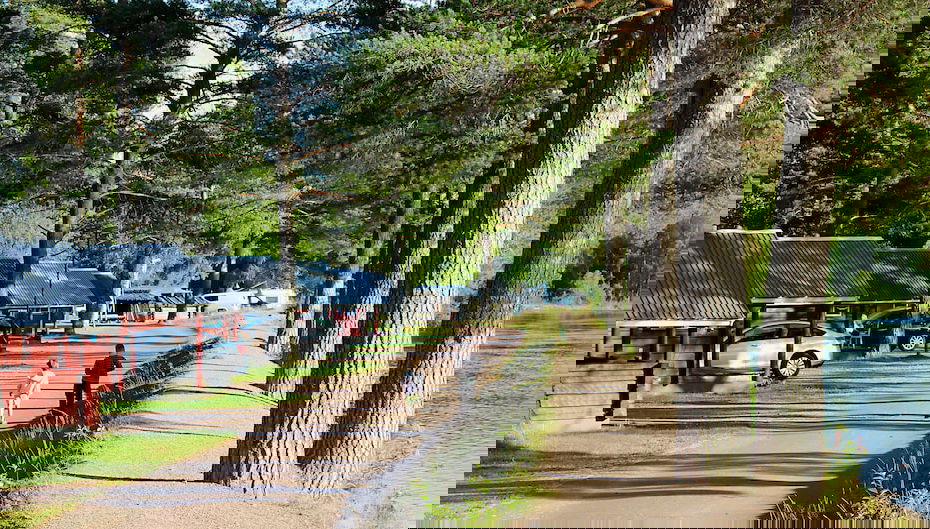 Imagem principal