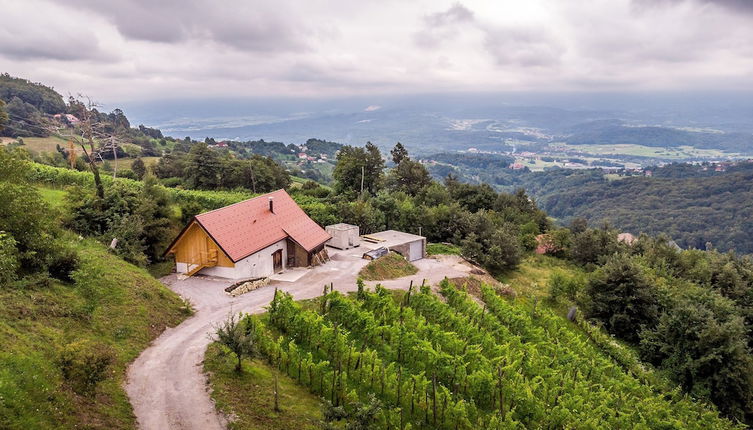 Photo 1 - Vineyard cottage Škatlar 3