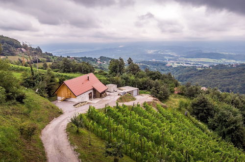 Photo 1 - Vineyard cottage Škatlar 3