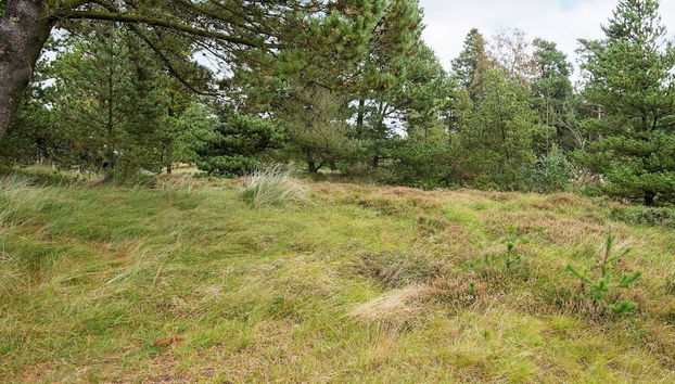 6 Person Holiday Home in Romo - Foto 3