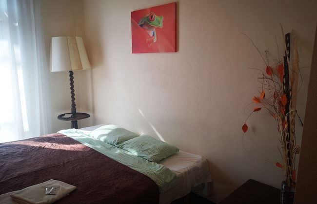 Orange Studio - Foto 40